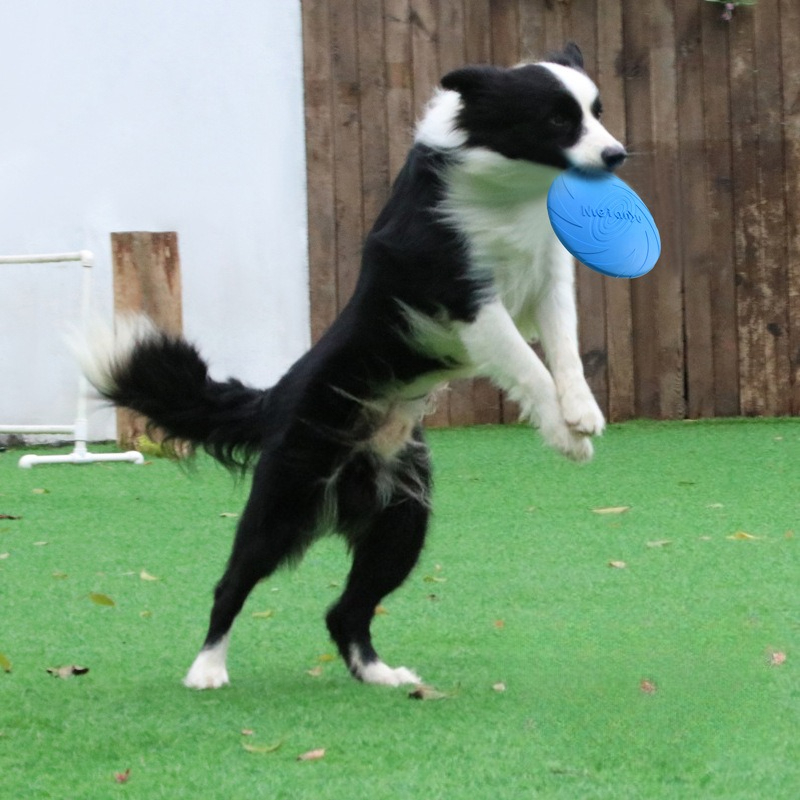 Frisbee Freestyle Disc - Hondenfrisbee, speciale frisbee voor grensdieren, bijtbestendige