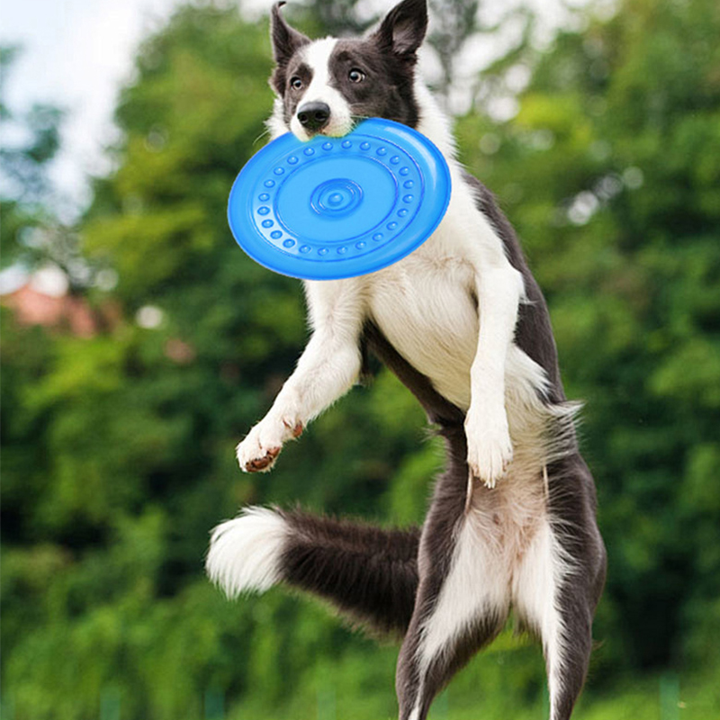 Frisbee Freestyle Disc - Duurzaam kauwbaar hondentrainingsspeelgoed, scheurbestendig zacht rubberen