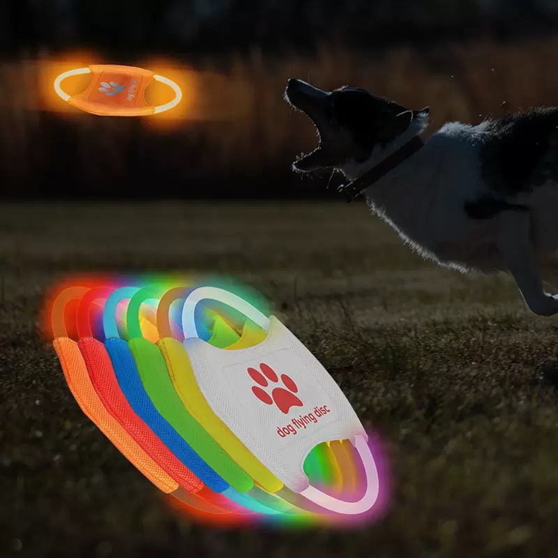 LED Glow Hondenfrisbee, USB Op - Frisbee Freestyle Disc recensie en prijs