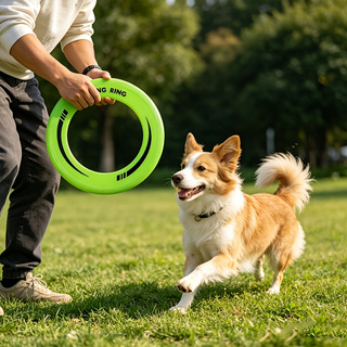 1PC Duurzame holle ringfrisbee - Frisbee Freestyle Disc recensie en prijs